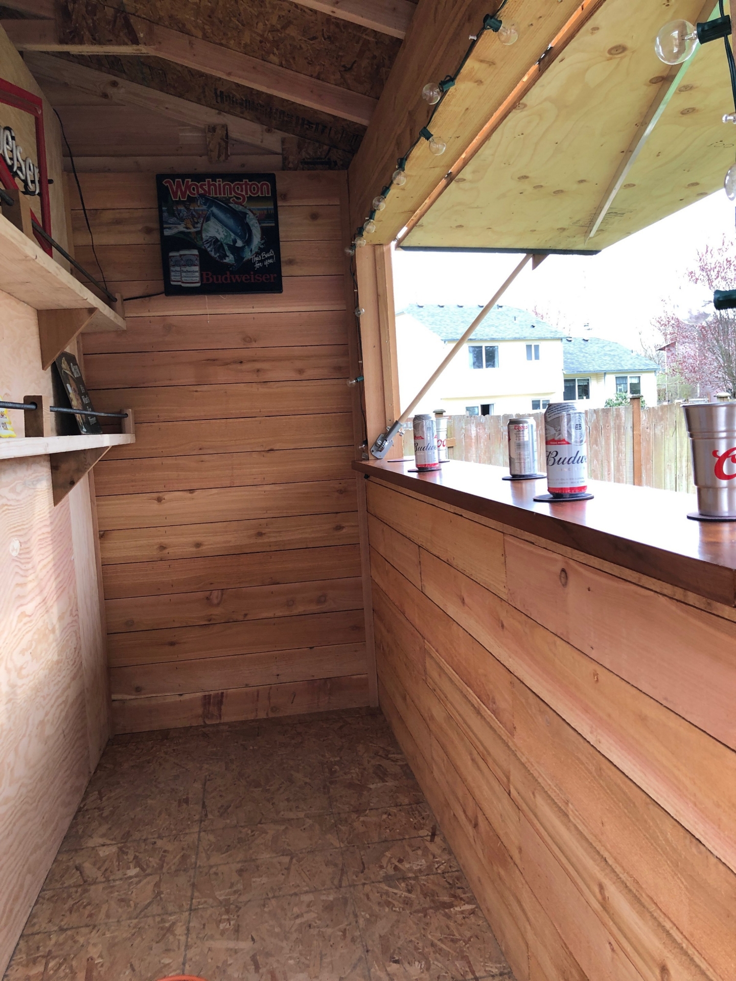 10x10 bar shed
