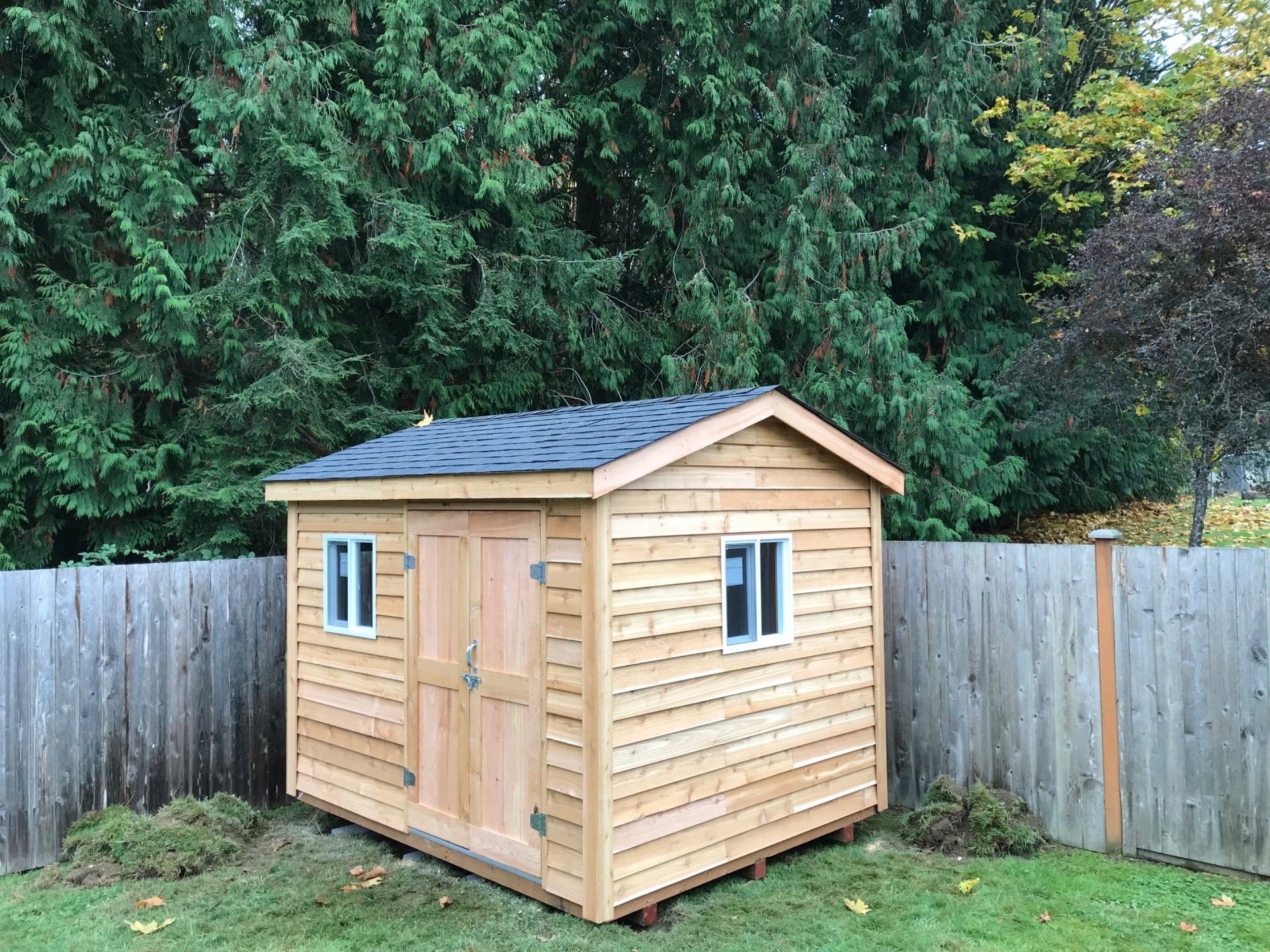 handy home phoenix 8x10 solar wood shed greenhouse kit