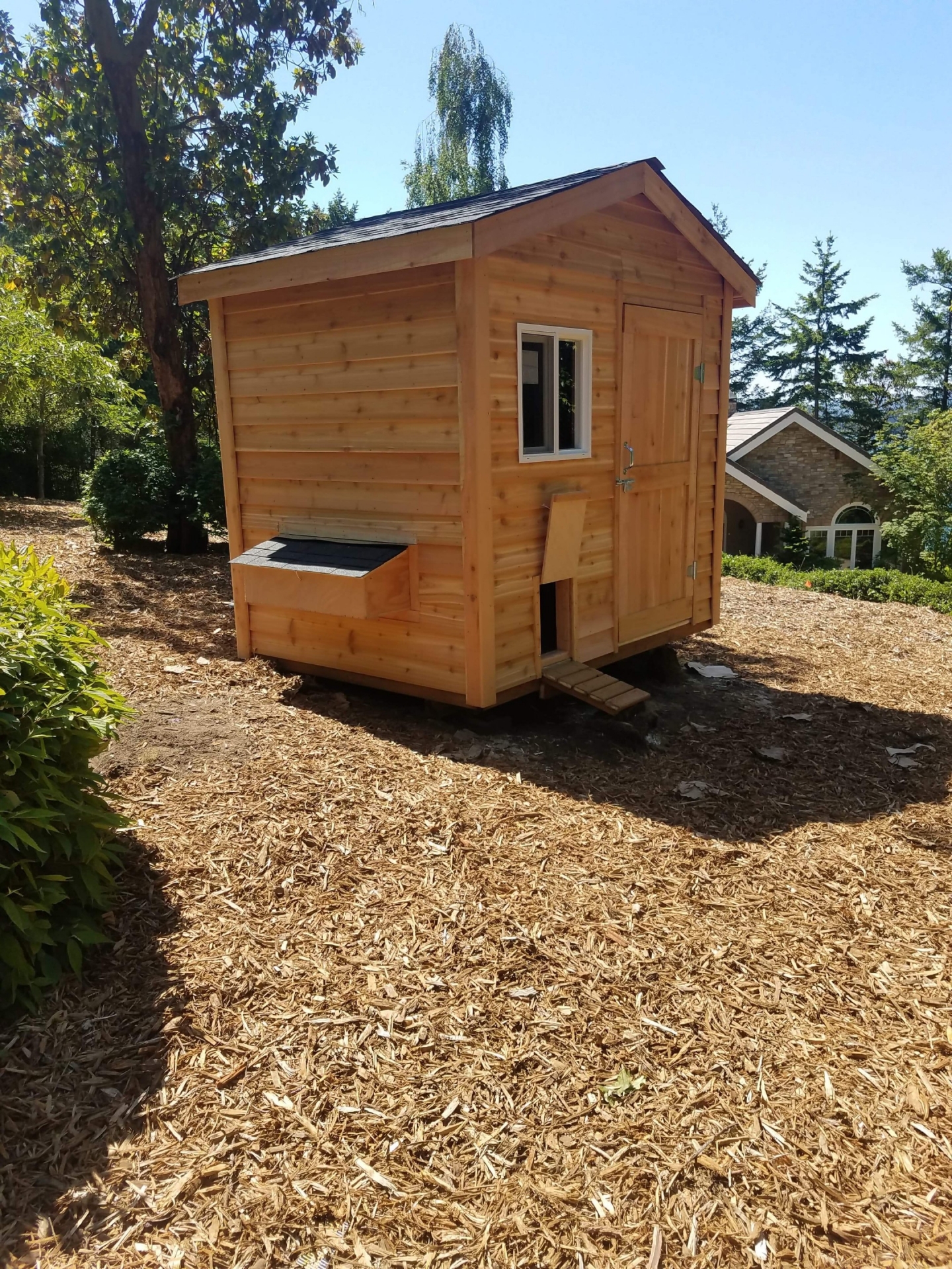 8X6 Standard Shed