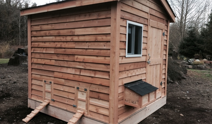 8x8 standard shed